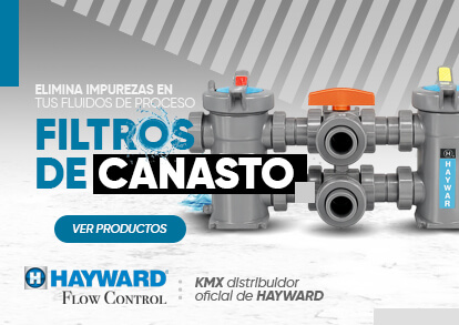 Filtro Canasto Hayward