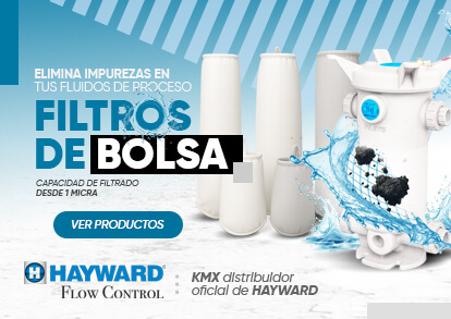 Hayward filtro Bolsa